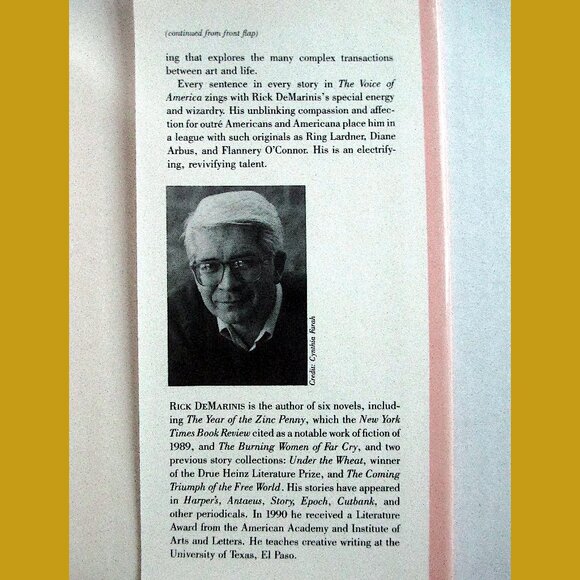 Book: The Voice of America by Rick DeMarinis - Short Story Collection - Picture 8 of 9